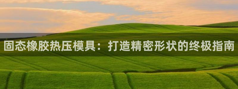 emc易倍是黑台子吗：固态橡胶热压模具：打造精密形状的终