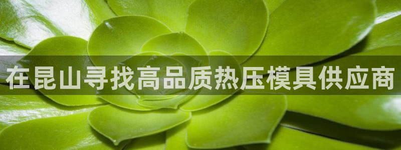易倍达科技有限公司代运营：在昆山寻找高品质热压模具供应商