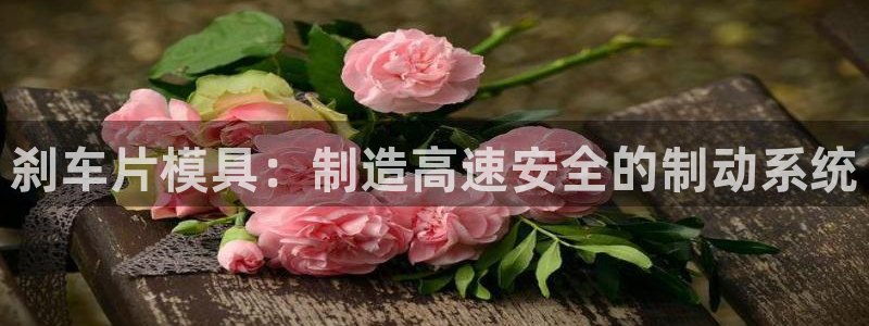 易倍申生产厂家：刹车片模具：制造高速安全的制动系统