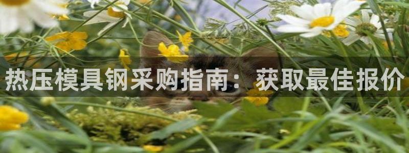 易倍网络技术有限公司怎么样