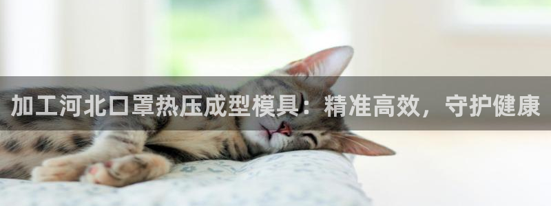 易倍申多少钱一盒