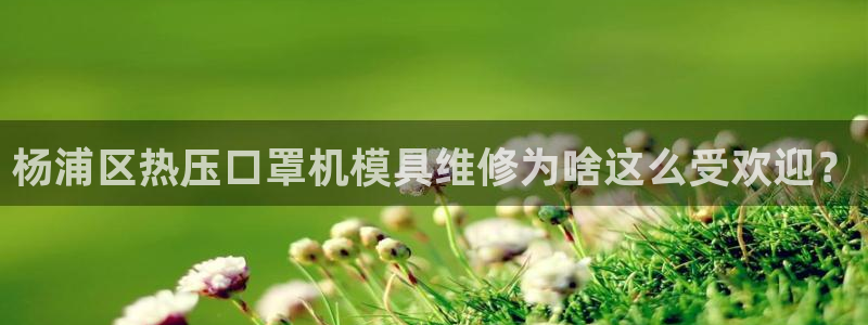 emc易倍老板
