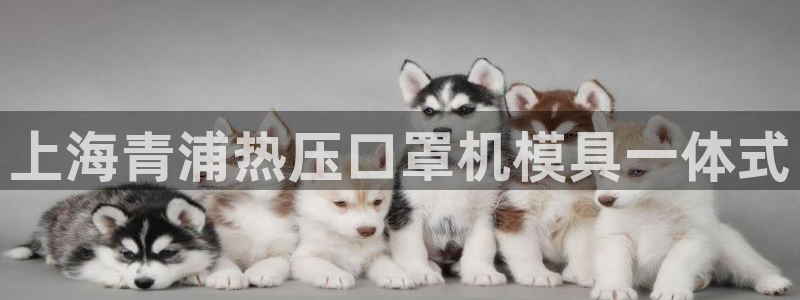 易倍纤怎么使用