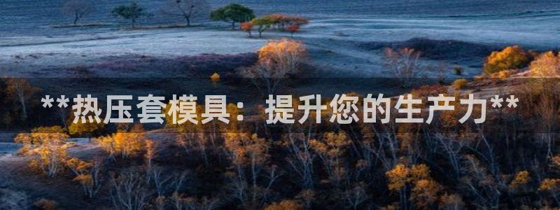 emc易倍app官网下载：**热压套模具：提升您的生产力