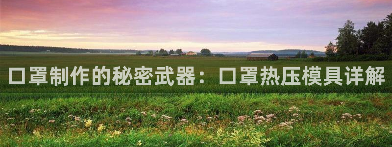 易倍申的包装规格：口罩制作的秘密武器：口罩热压模具详解