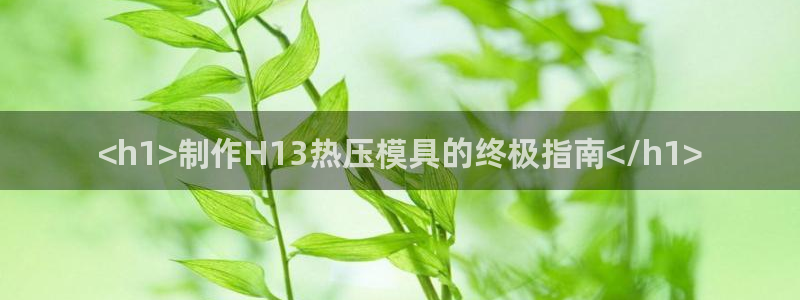 易倍思怎么样