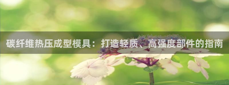 易倍申不良反应：碳纤维热压成型模具：打造轻质、高强度部件