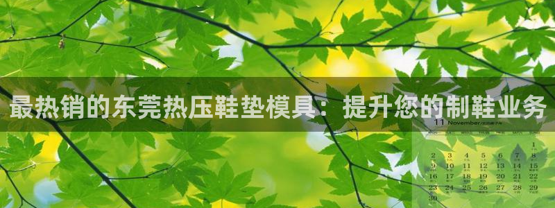 易倍申在中国成功上市：最热销的东莞热压鞋垫模具：提升您的