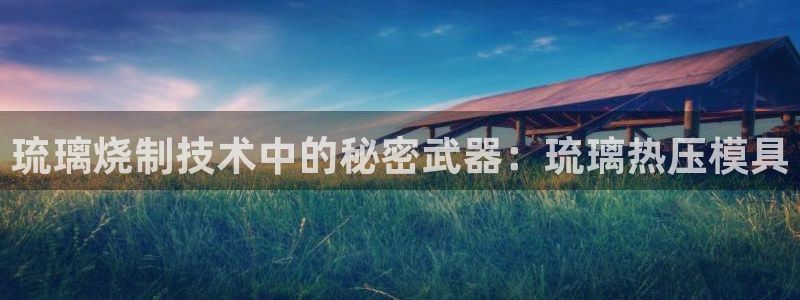 易倍申医保报销