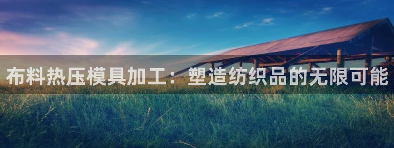 易倍申医保报销：布料热压模具加工：塑造纺织品的无限可能