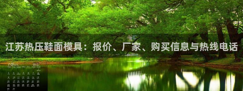 易倍申多少钱：江苏热压鞋面模具：报价、厂家、购买信息与热