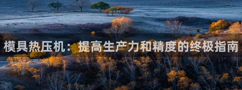 易倍单词软件：模具热压机：提高生产力和精度的终极指南