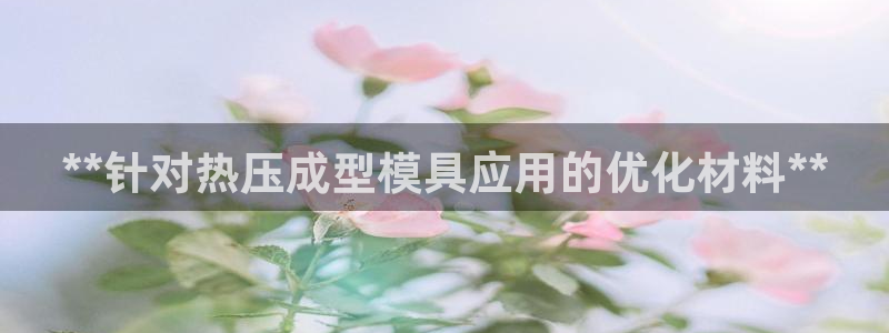 易倍申安理申区别：**针对热压成型模具应用的优化材料**