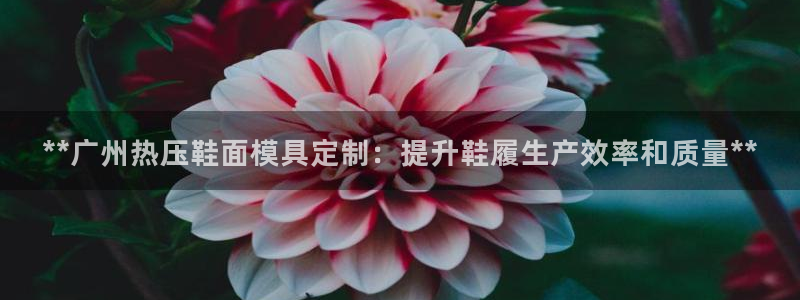 emc易倍账号异常：**广州热压鞋面模具定制：提升鞋履生