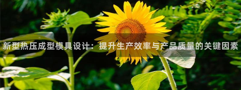 emc易倍首存500送球衣：新型热压成型模具设计：提升生