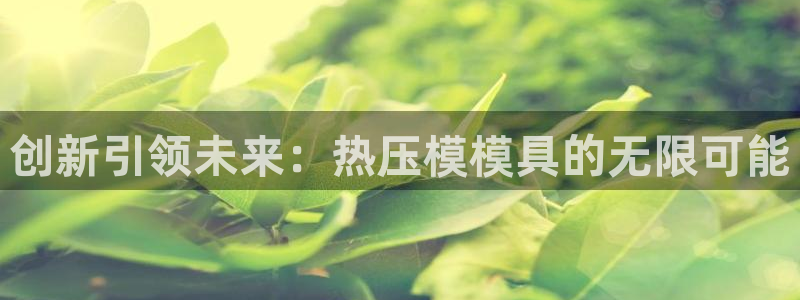 易倍达科技有限公司代运营：创新引领未来：热压模模具的无限