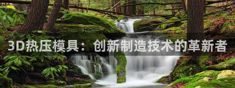 易倍易趣网