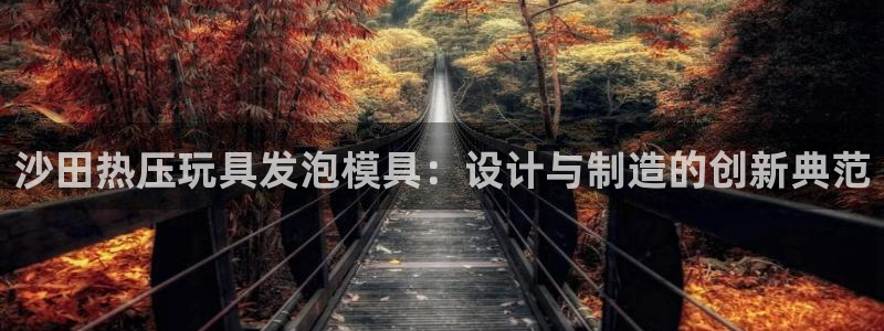 易倍电竞,有球必应：沙田热压玩具发泡模具：设计与制造的创