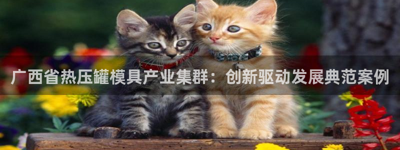 emc mcu：广西省热压罐模具产业集群：创新驱动发展典