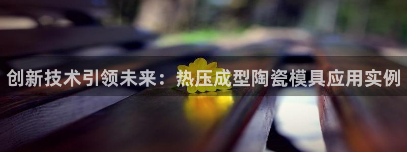 易倍申价格是多少：创新技术引领未来：热压成型陶瓷模具应用