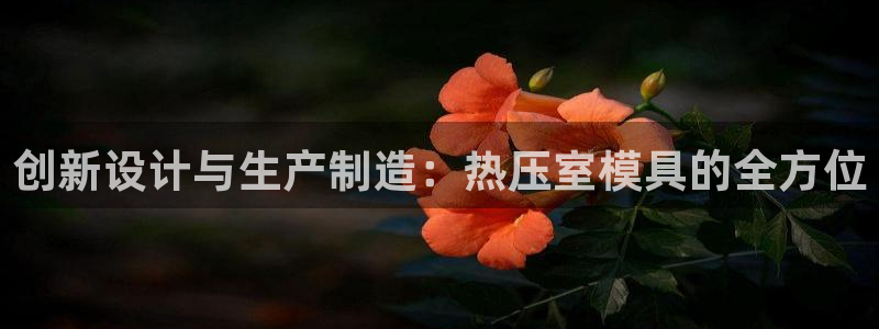 emc易倍官网首页：创新设计与生产制造：热压室模具的全方