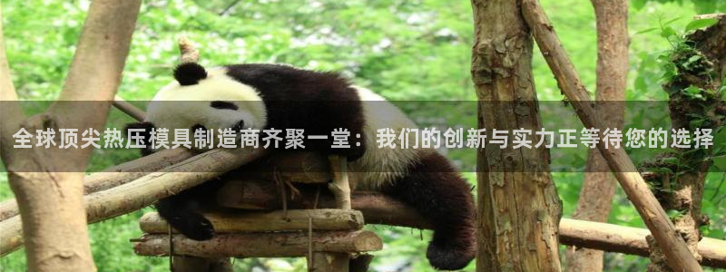 易倍申厂家：全球顶尖热压模具制造商齐聚一堂：我们的创新与
