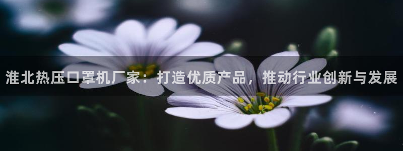 四川易倍易企业管理有限公司：淮北热压口罩机厂家：打造优质