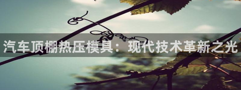 易倍纤代餐粉能减肥吗：汽车顶棚热压模具：现代技术革新之光