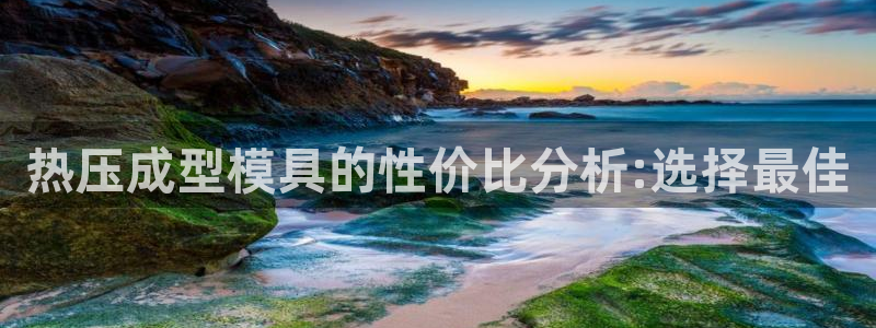 易倍申的包装规格：热压成型模具的性价比分析:选择最佳