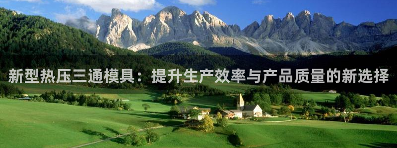 易倍emc安全吗：新型热压三通模具：提升生产效率与产品质