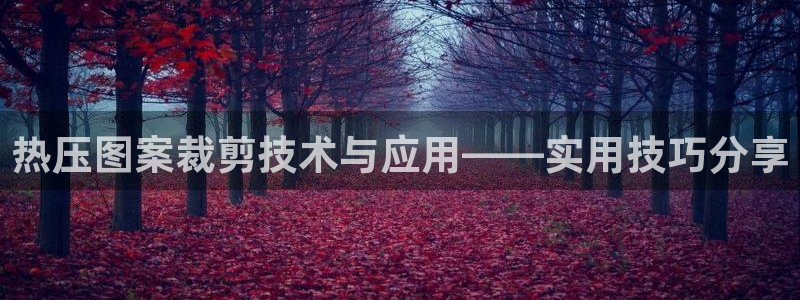 易倍单词官方网站下载安卓：热压图案裁剪技术与应用——实用