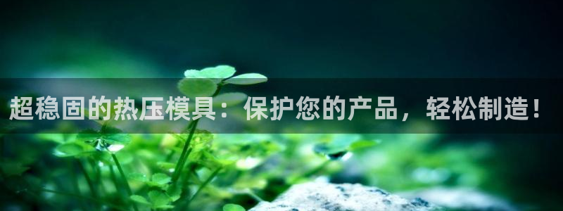 易倍单词官方网站登录：超稳固的热压模具：保护您的产品，轻