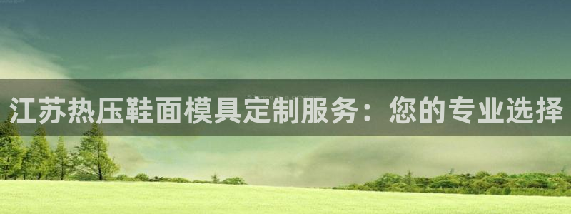emc易倍官方下载：江苏热压鞋面模具定制服务：您的专业选
