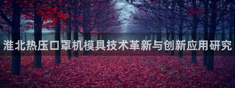 易倍申片：淮北热压口罩机模具技术革新与创新应用研究