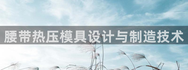 emc易倍在线登录：腰带热压模具设计与制造技术