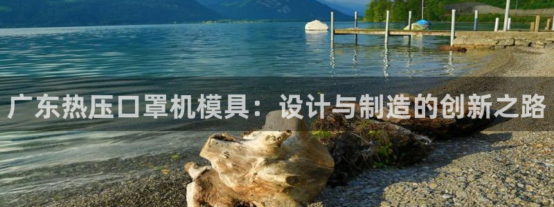 易倍申多少钱：广东热压口罩机模具：设计与制造的创新之路