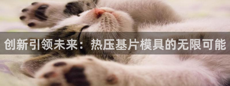 emc服务器是什么：创新引领未来：热压基片模具的无限可能