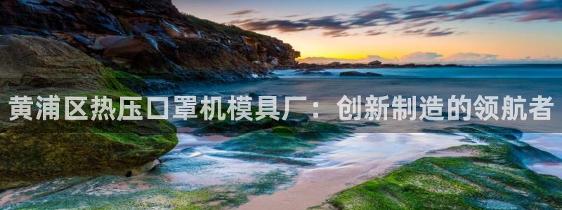 易倍申多少钱：黄浦区热压口罩机模具厂：创新制造的领航者