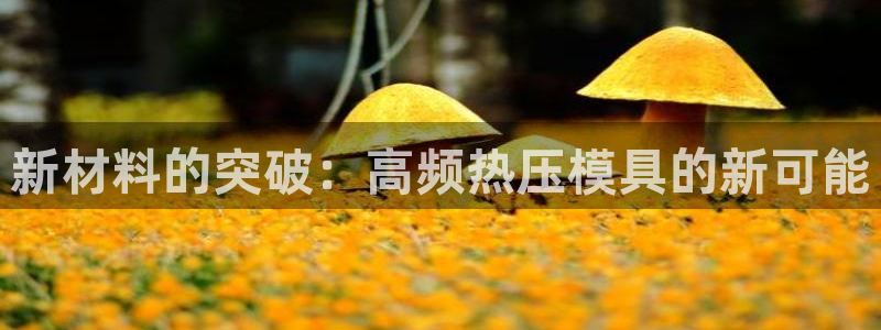 易倍申多少钱：新材料的突破：高频热压模具的新可能
