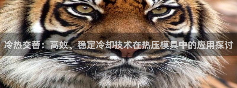 emc易倍是黑台子吗：冷热交替：高效、稳定冷却技术在热压