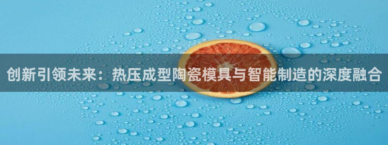 易倍纤谷物粉效果好吗：创新引领未来：热压成型陶瓷模具与智