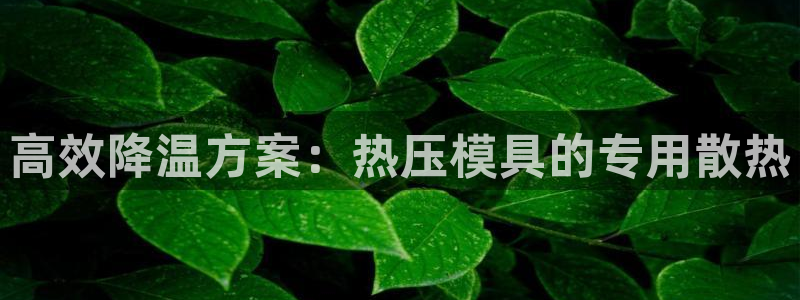 易倍app官网下载安装：高效降温方案：热压模具的专用散热