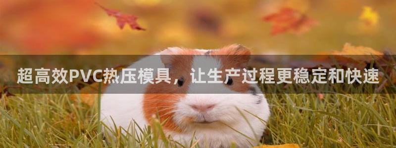 易倍企业管理软件：超高效PVC热压模具，让生产过程更稳定