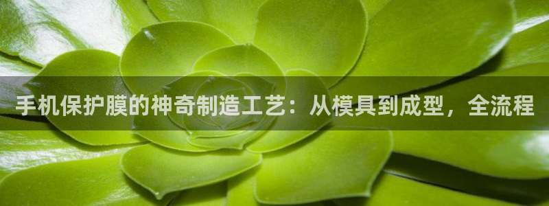 emc易倍ios官网：手机保护膜的神奇制造工艺：从模具到
