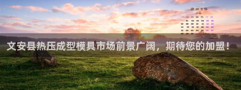 武汉易倍捷科技有限公司：文安县热压成型模具市场前景广阔，