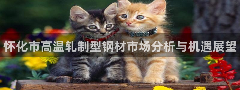 emc易倍首存500送球衣：怀化市高温轧制型钢材市场分析