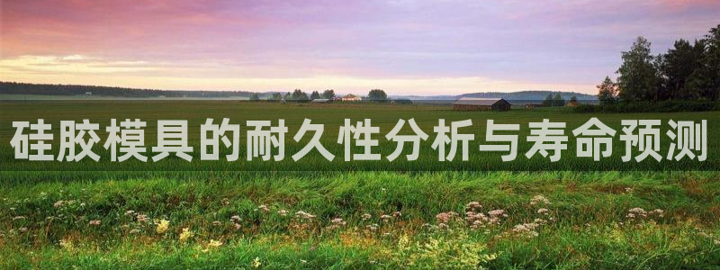 易倍申有用吗：硅胶模具的耐久性分析与寿命预测