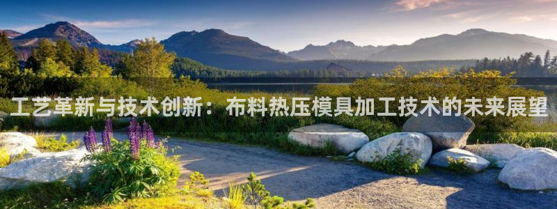 易倍企业管理软件怎么样：工艺革新与技术创新：布料热压模具