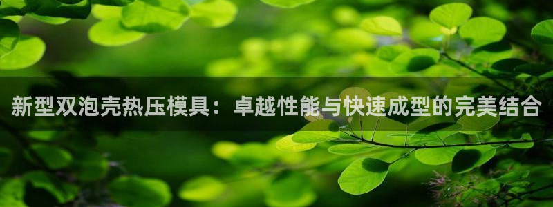 易倍单词官方网站登录：新型双泡壳热压模具：卓越性能与快速