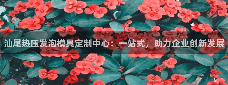 四川易倍易企业管理有限公司：汕尾热压发泡模具定制中心：一